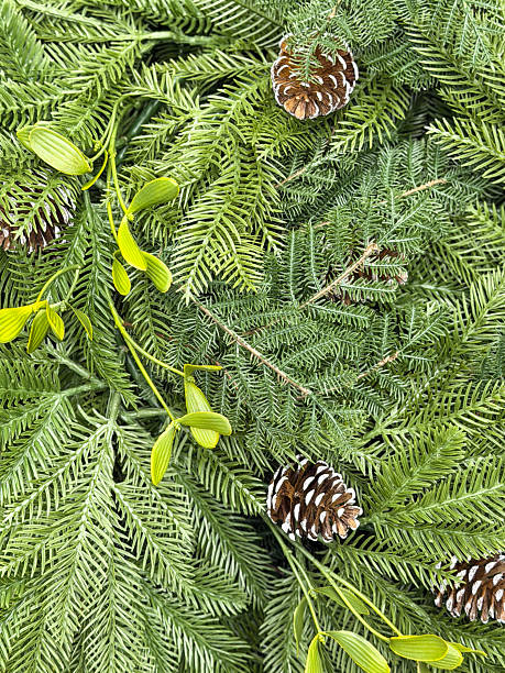 Stock photo showing close-up, elevated view of an artificial Christmas tree wreath made from plastic spruce needles decorated with mistletoe leaves and cones as part of a garden centre sale display.