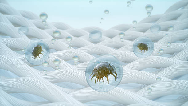 3D rendering,  Bubble remove Dust mite from fabric fibers, Concept of laundry hygiene.