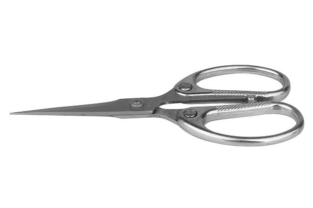 Steel scissors isolated on white background.