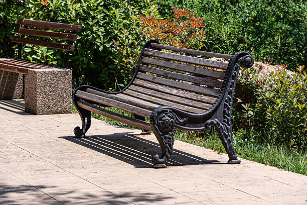 Park bench in the summer time garden