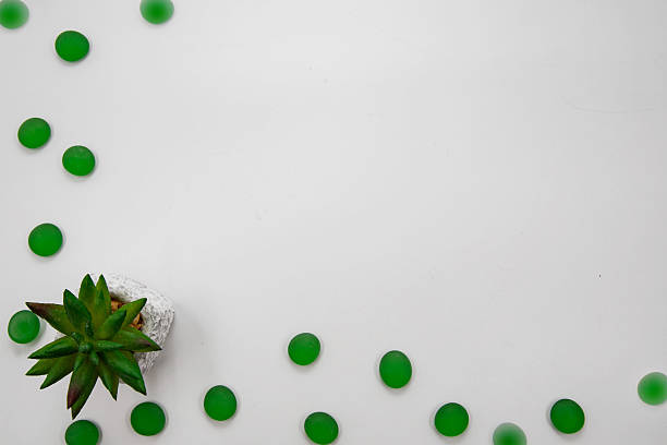 istock Minimal composition with green pebbles ladybugs and small succulent plant decor 2254718530