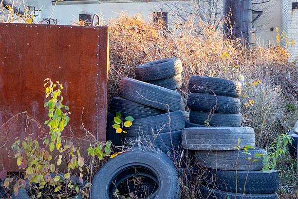Several old tires are piled next to a rusty container surrounded by weeds and dry plants in a sunny outdoor setting.