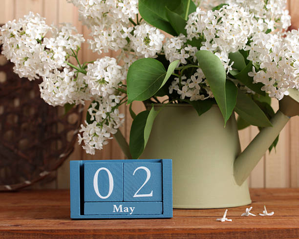 istock May 2nd calendar with white lilac flowers 2254727261