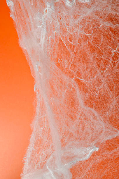 istock Spooky Halloween decoration with white cobweb on an orange background. Mockup, copy space, or template. Perfect for creating a festive atmosphere for Halloween parties or spooky projects 2254733003