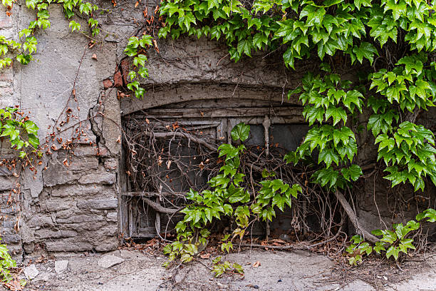 Wooden windows on gray brick walls