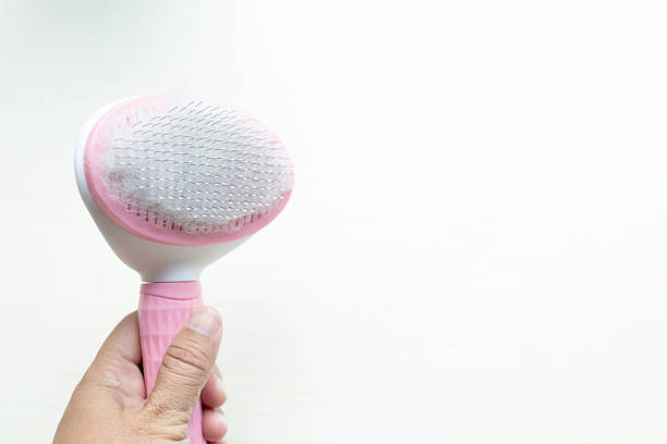 Grooming Brush for Pets on wooden