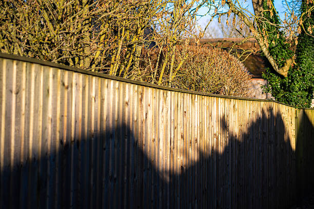 Wooden fence casting shadows with trees in the background.