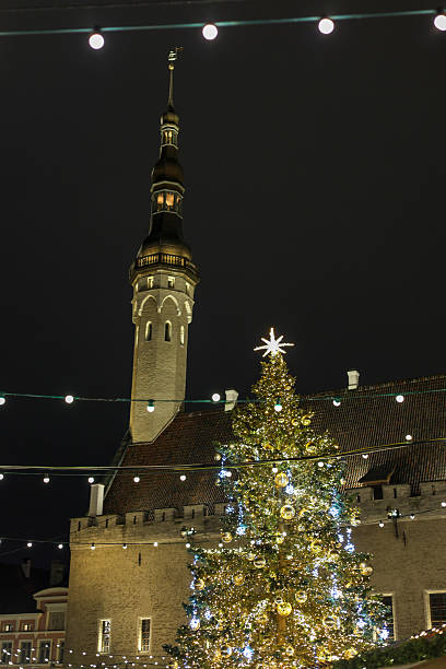 istock Christmas market in old town 2254748048