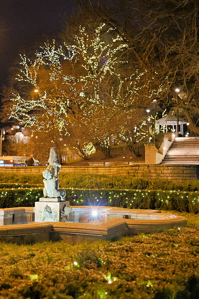 istock Christmas market in old town 2254748159