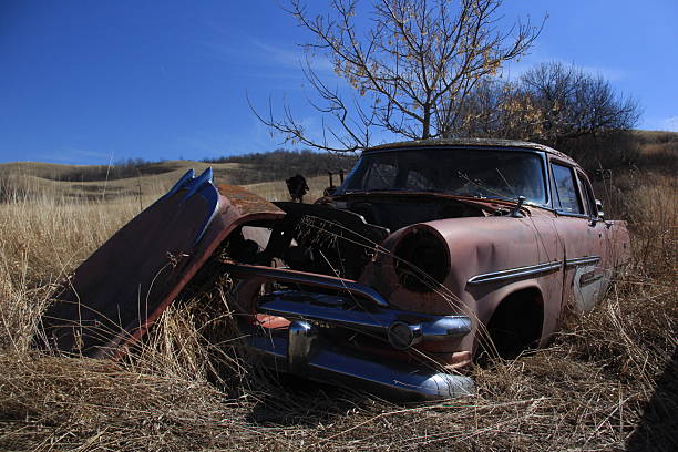 Lloyd Alexander TS that has seen better days