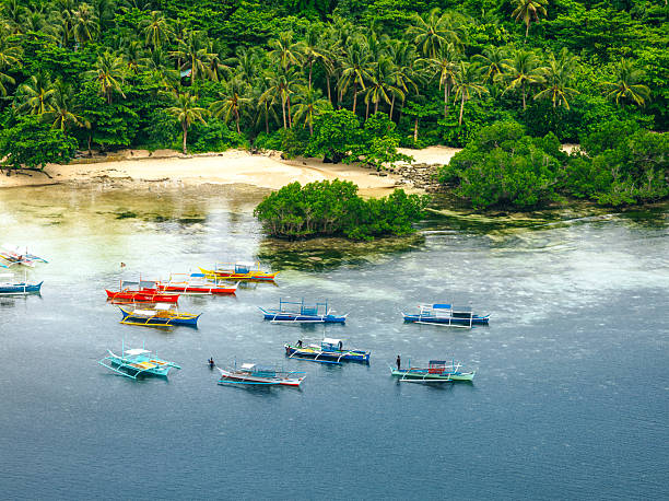 Vibrant wooden boats float on tranquil turquoise water near a lush, tropical shoreline on Siargao Island, Philippines. Palm trees and sandy beach create a peaceful island scene perfect for travel and tourism.