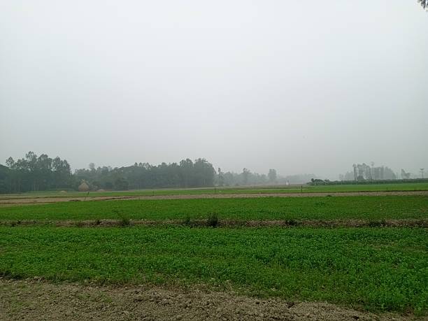istock Rural green land view 2254751245