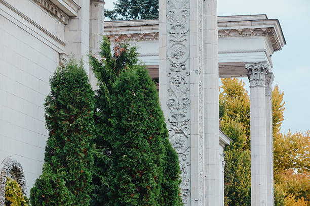 Tall green trees grow against a white classical building with ornate pillars
