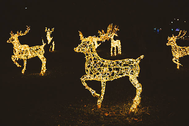 richly decorated and illuminated front yards at christmas time in Brooklyn, New York