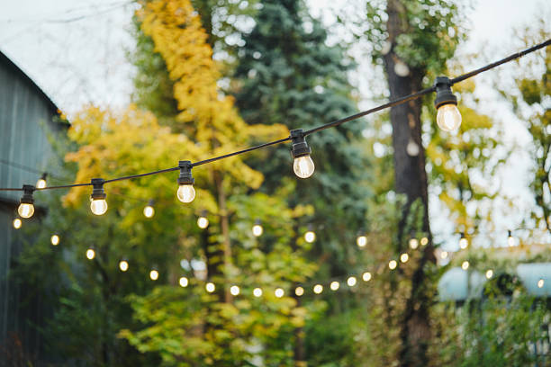 istock Outdoor string lights glowing softly in a garden with trees and fall foliage 2254751605