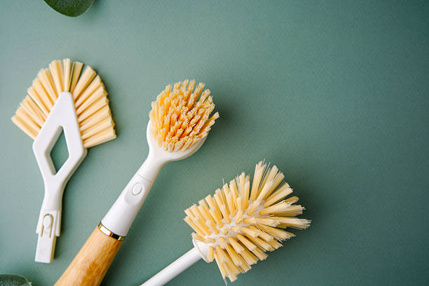 istock Three dishwashing brushes with beige bristles and white handles arranged on a green background. 2254751613