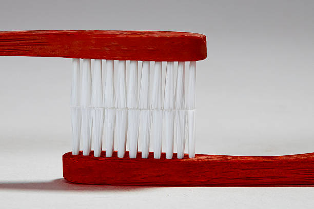 Dental Model used for Dentist Training