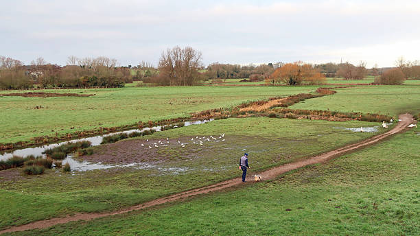 Water Meadow, Sudbury Suffolk, United Kingdom,  December 30, 2025.  Elevated view across meadow including incidental person walking dog. Bright winter day outdoors.