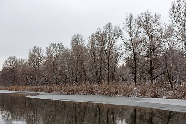 istock Winter Forest Walk Covered With Snow 2254755777