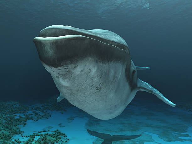 Computer generated 3D illustration with a humpback whale in an underwater landscape