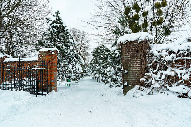 istock An open gate with a cross towards a snow-covered park with trees, Chelm, Poland 2254760200