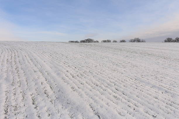 A large field of snow. Sky. Snow. Outdoor. Nature. Field