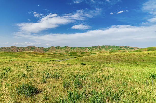 Bright summer hilly green meadows and blue sky with clouds.