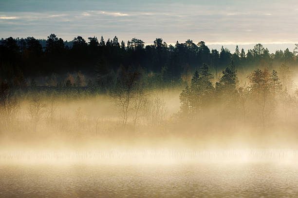 Autumn with yellow forest and misty Northern river. Lapland, Scandinavia