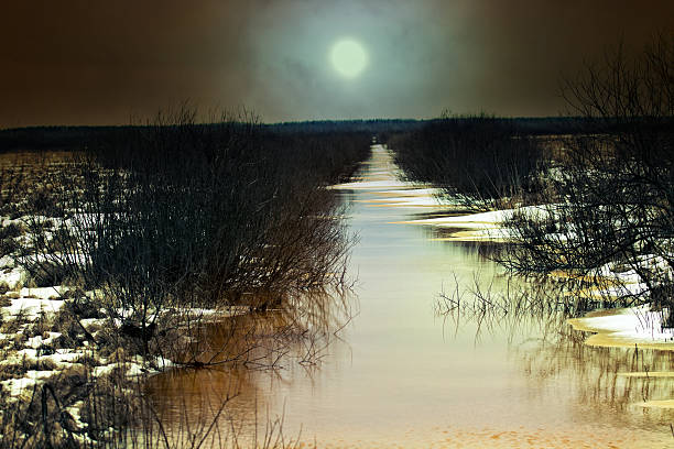 The Moon reflects on the ocean.