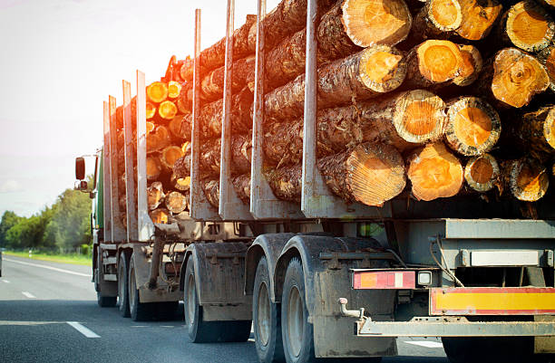istock Logging truck transporting freshly cut tree trunks stacked on open highway, industrial transport of wood resources for construction. Copy space for text 2254771697