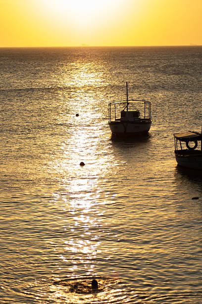 Salvador, Bahia, Brazil - January 2, 2026: Silhouettes of various fishing boats floating on the calm sea of ââRio Vermelho under the golden light of dusk in Salvador, Bahia