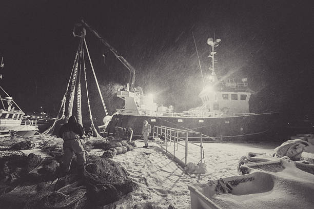 Commercial fishermen working on land at night during harsh weather conditions in northern Norway. Crew members haul fishing nets under artificial lights as snow or sea spray fills the air, highlighting the demanding and dangerous nature of Arctic fishing operations.