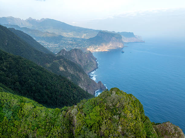 Aerial view of the steep green cliffs along the Vereda do Larano trail on Madeira Island, Portugal. Dense vegetation, rugged rock formations and the deep blue Atlantic Ocean meet in a dramatic coastal landscape.