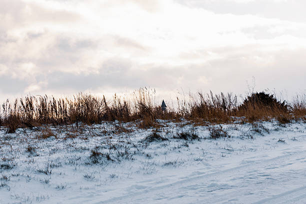 Winter landscape with yellow grass covered by snow