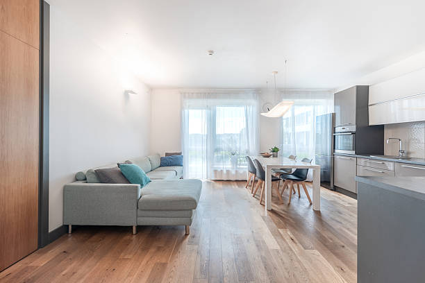istock Modern Open Concept Living Room and Kitchen with Wooden Flooring 2254784667