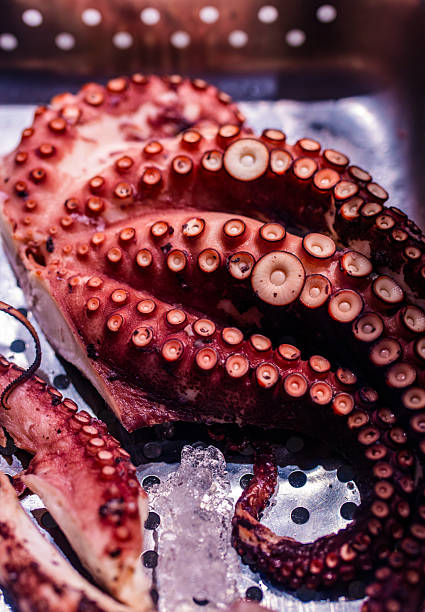 Cooked Octopus Tentacles on Ice, Seafood Preparation Detail