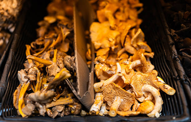 Fresh Chanterelle Mushrooms Displayed at Market