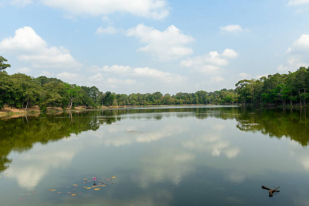 Still water reflects clouds and surrounding tropical trees at a serene lake adjacent to the Angkor temple complex in Siem Reap, Cambodia. The tranquil scene features lush forest, a single pink water lily, and soft daylight under a blue sky.