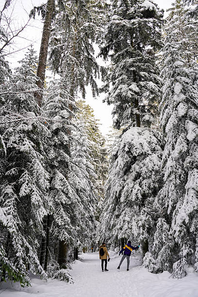 Two men walking in the Black Forest (Schwarzwald) in winter, Germany