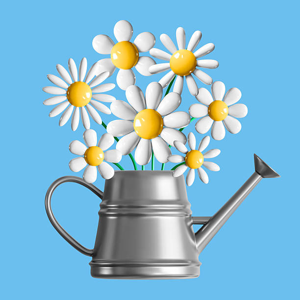istock 3d vector illustration daisy flowers bouquet in watering can 2254786095