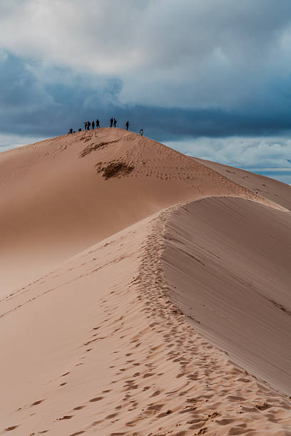 Khongoryn Els Desert, Mongolia