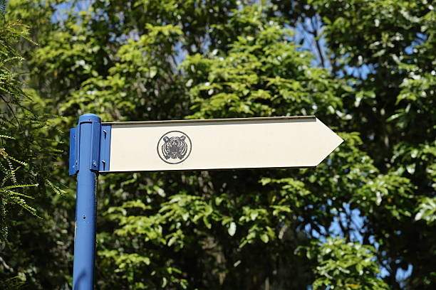 Cream plate on tall support against leafy background