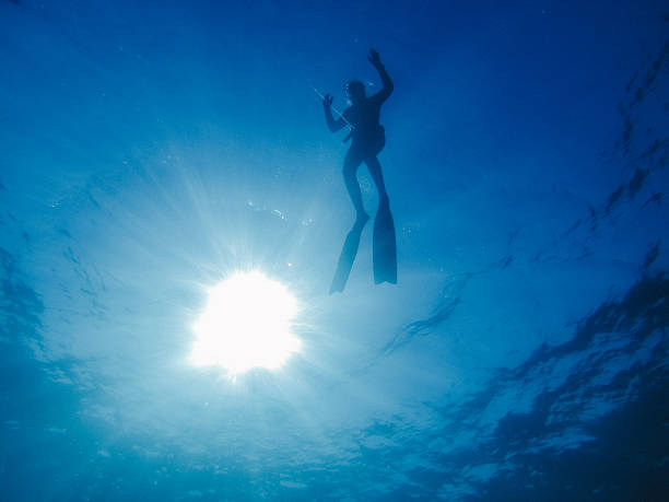 Diver swimming through a swarm of moon jellyfish in blue ocean water