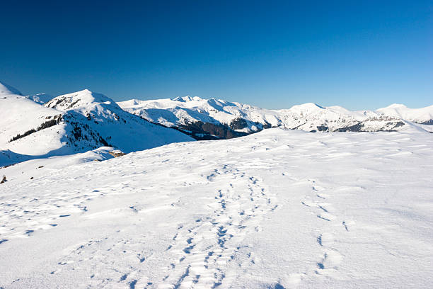 A wide-angle landscape shot of a massive, snow-blanketed mountain range beneath a brilliant, deep blue sky. The foreground highlights the unique wind-blown textures and ripples in the snow, leading the viewer's eye toward several sharp, sunlit peaks. The image evokes a sense of cold, quiet majesty and the vastness of the alpine wilderness, perfect for travel, adventure, and nature-themed projects.