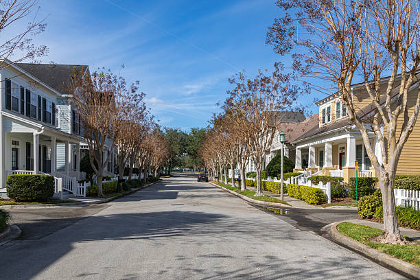 istock Tree-Lined Residential Street in Celebration, Florida 2254794870
