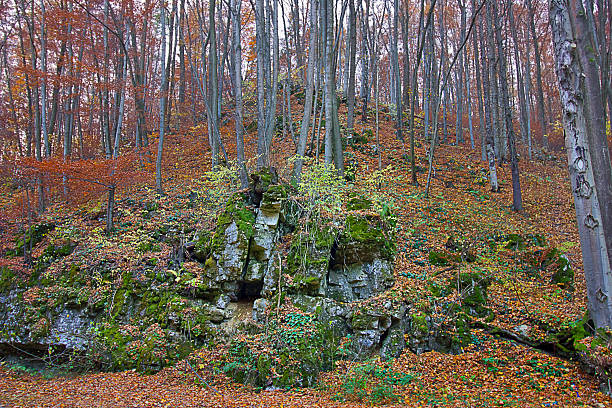 Autumn landscape a rock in an autumnal forest