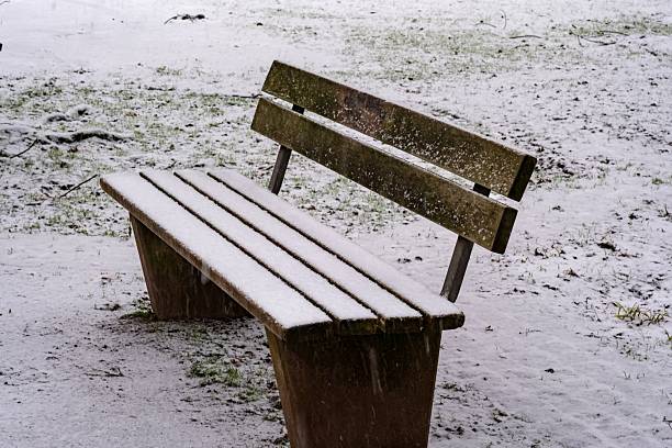 Park bench blanketed with fresh snow in a peaceful winter landscape
