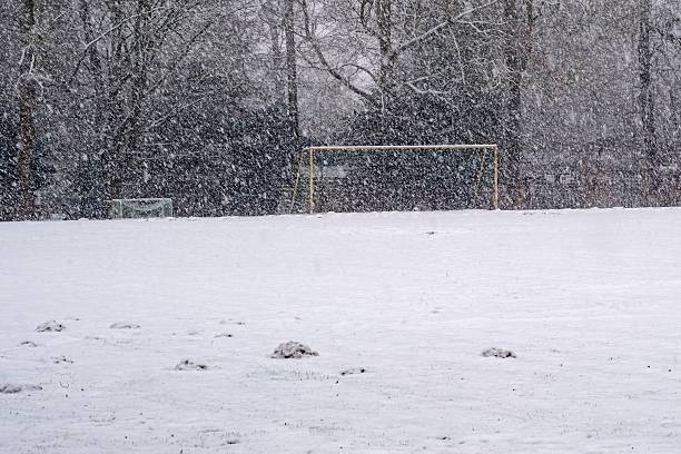Snow falling on an empty soccer pitch with two goals and trees in the background