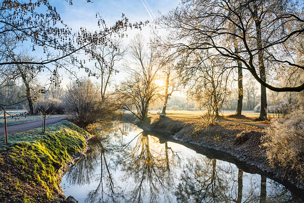 view over Ilm river in Ilmpark in Weimar in the backlit of the winter sun