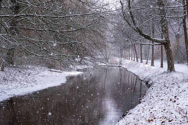 Winter forest stream with snow covered trees
